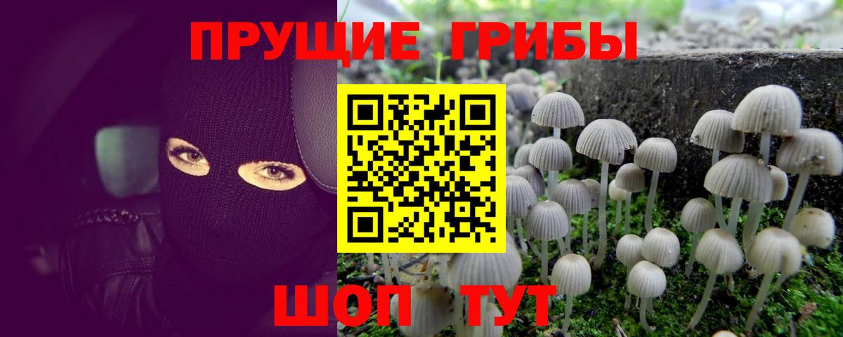 Псилоцибиновые грибы GOLDEN TEACHER Набережные Челны
